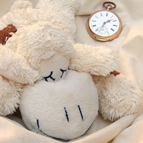 Λούτρινο σκυλάκι και ρολόι που δείχνει την ώρα