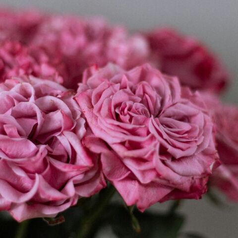 Εορτολόγιο: Σήμερα 18 Μαρτίου 2026, γιορτάζει…