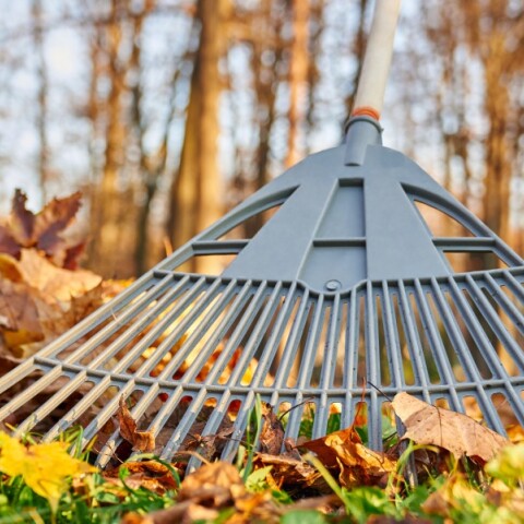 Καθαρισμός οικοπέδου στην εξοχή με τσουγκράνα