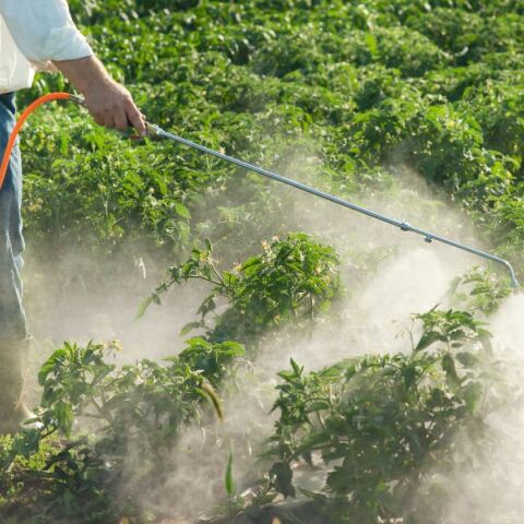 Τα φυτοφάρμακα αυξάνουν τον κίνδυνο ανάπτυξης καρκίνου 