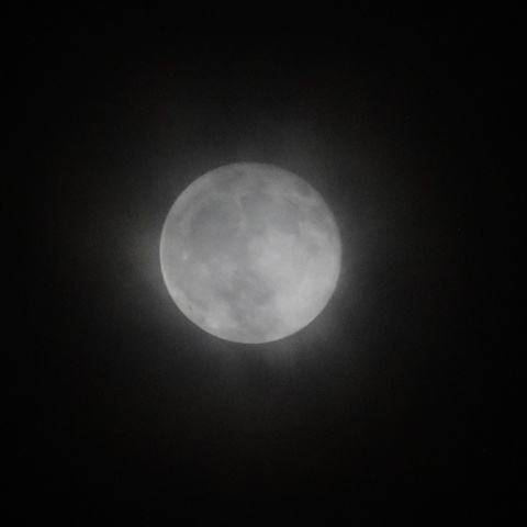 Το ροζ φεγγάρι στον ουρανό