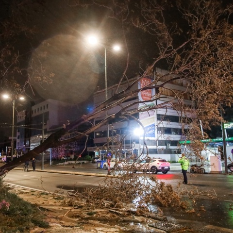 Πτώσεις δέντρων στην Πειραιώς