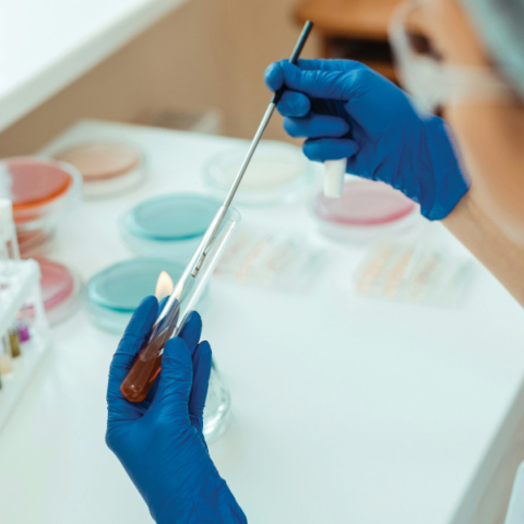 Βιοδείκτες