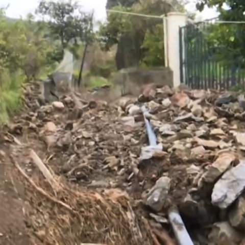 Πόρος: Μεγάλες καταστροφές στο Λεμονοδάσος από την κακοκαιρία Erminio