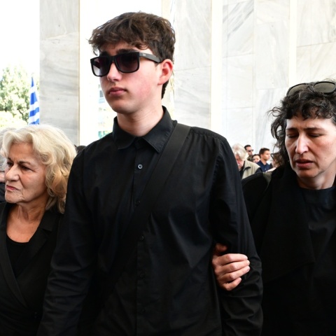 Θεανώ Φωτίου, Δημήτρης Ρίζος