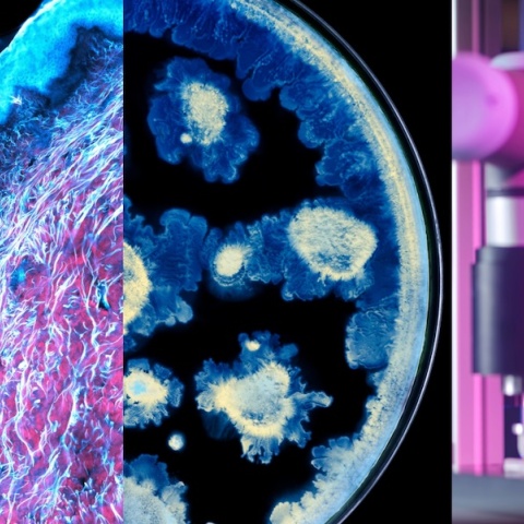 loreal_x_institut_pasteur_-__loreal