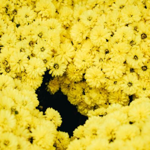 Εορτολόγιο: Σήμερα 10 Απριλίου 2026 γιορτάζει…