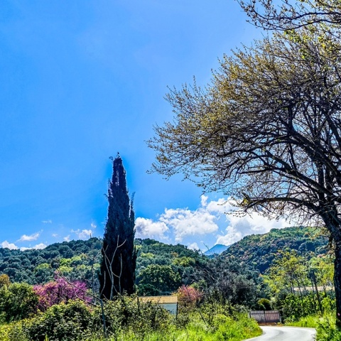 Εικόνα εξοχής