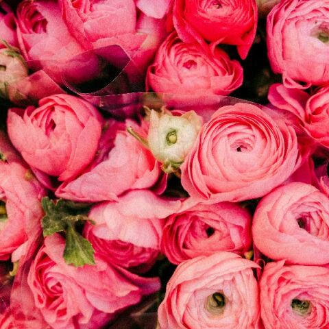 Εορτολόγιο: Σήμερα 16 Απριλίου 2026 γιορτάζει…