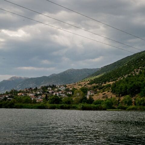 Δεκάδες νεκρά ψάρια  στη λίμνη των Ιωαννίνων - Συναγερμός στις αρμόδιες Αρχές