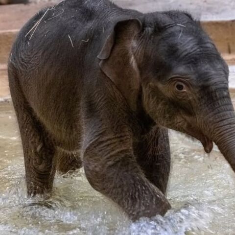 athensvoice_-_2026-04-16t212404_846