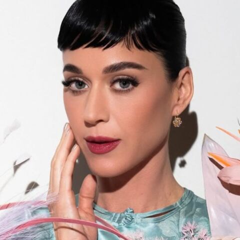 Κέιτι Πέρι: Μετά τη μήνυση της Ρούμπι Ρόουζ, αναζωπυρώνονται οι καταγγελίες του μοντέλου Τζος Κλος, ο οποίος είχε κατηγορήσει την ποπ σταρ για παρενόχληση το 2019.