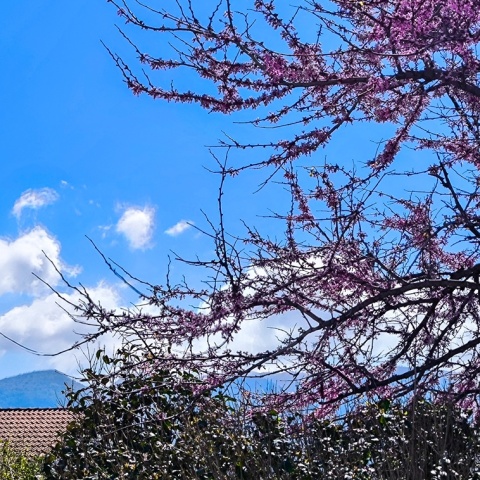 Λίγα σύννεφα στον ουρανό