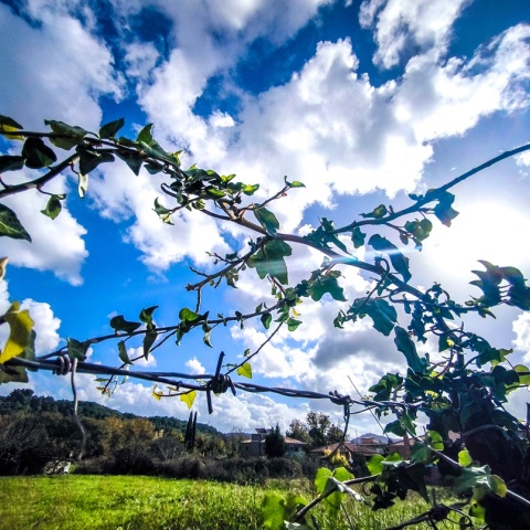 Σύννεφα στον ουρανό