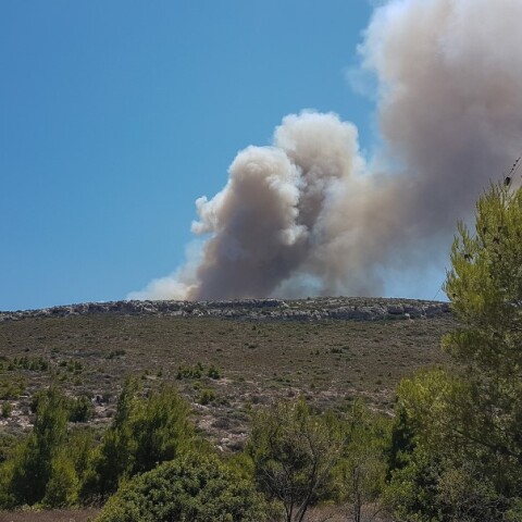 Φωτιά τώρα στη Λαυρεωτική