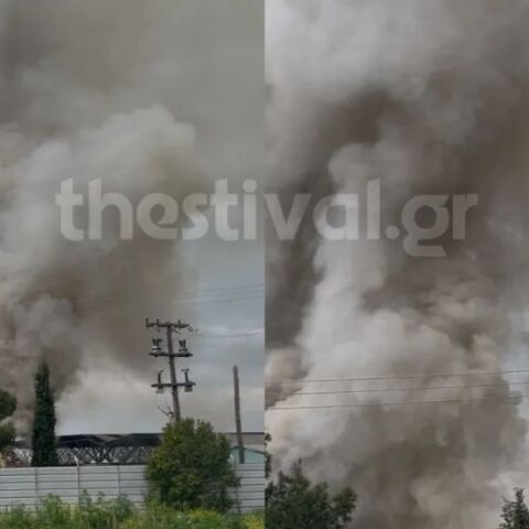 Τοξικός κίνδυνος από τη φωτιά στο Θεσσαλονίκη -Καθηγήτρια του ΑΠΘ εξηγεί τι συμβαίνει με τις καρκινογόνες ενώσεις