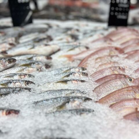 Ο ανανεωμένος οδηγός του WWF Ελλάς «Fish Guide» ρίχνει φως σε όσα κρύβονται πίσω από τα ψάρια που φτάνουν στο πιάτο μας