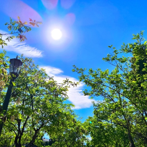 Λίγα σύννεφα πάνω από δέντρα