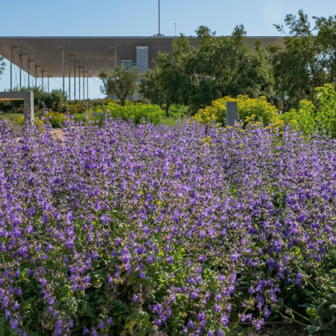 Πάρκο Σταύρος Νιάρχος