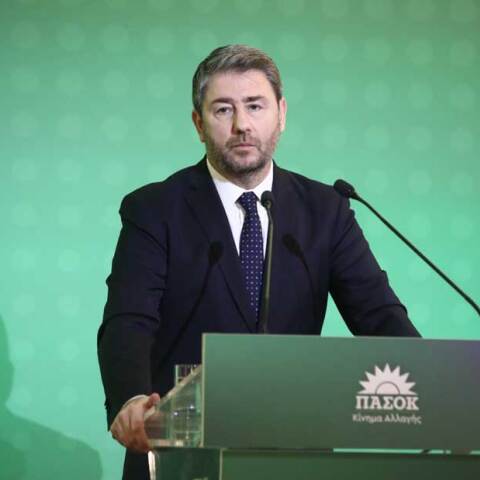 Νίκος Ανδρουλάκης, πρόεδρος ΠΑΣΟΚ