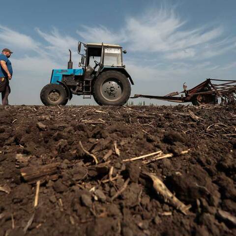 Ουκρανός αγρότης στη Ζαπορίζια κατευθύνεται στο τρακτέρ του μέσα σε χωράφι σιτηρών