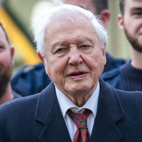 Ο Ντέιβιντ Ατένμπορο κλείνει σήμερα τα 100 του χρόνια και μοιράζεται το μυστικό της μακροζωίας του: Η σχεδόν χορτοφαγική δίαιτά του.