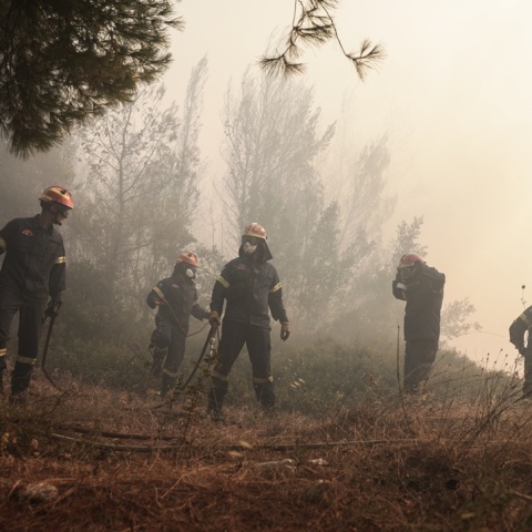 Πυροσβέστες με μάνικα επιχειρούν στο πεδίο
