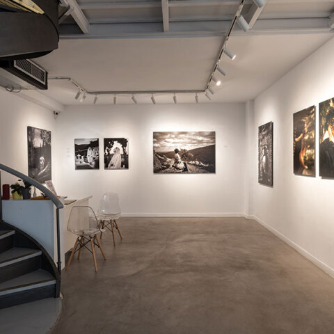 Alma Gallery