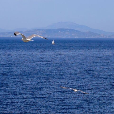 Καιρός σήμερα: Αίθριος στις περισσότερες περιοχές, με τοπικές βροχές στα δυτικά και πιθανές καταιγίδες στα ορεινά - Μικρή πτώση θερμοκρασίας 
