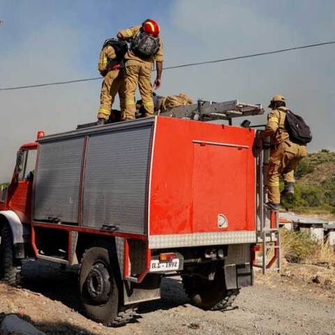 Πυροσβέστες επιχειρούν σε δασική πυρκαγιά