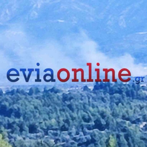 Εύβοια: Χωρίς ενεργό μέτωπο η φωτιά στη Λούτσα