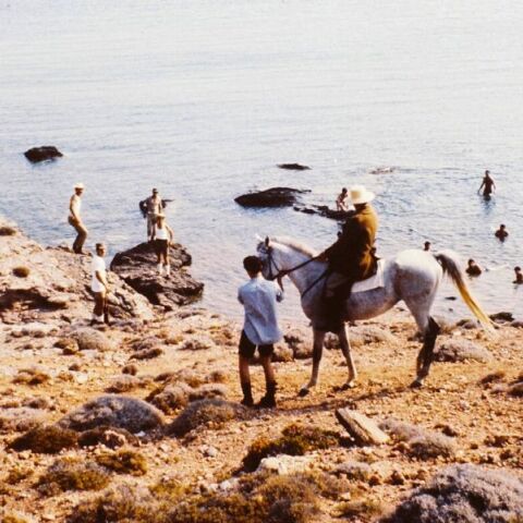 16ο Athens Open Air Film Festival powered by ΔΕΗ: Από το βιβλίο στην οθόνη με δύο κινηματογραφικά αριστουργήματα