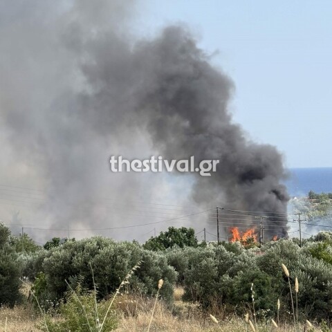 Φωτιά στη Νέα Καλλικράτεια Χαλκιδικής: Εκκενώνονται Κηπούπολη και Αμπελάκια 