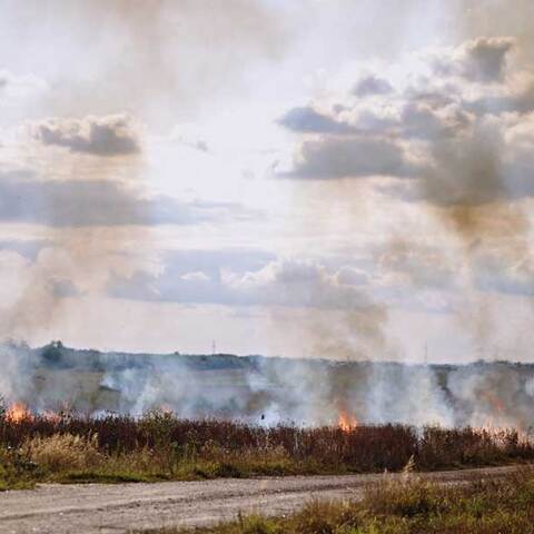 Φωτιά σε χαμηλή βλάστηση