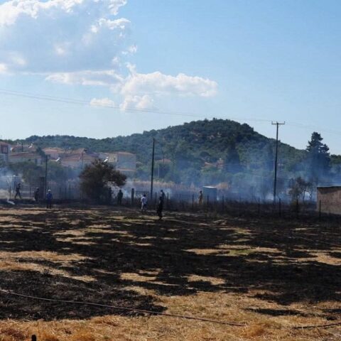 Φωτιά τώρα στη Λέσβο - Επιχειρούν και εναέρια μέσα