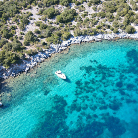 Σάμος