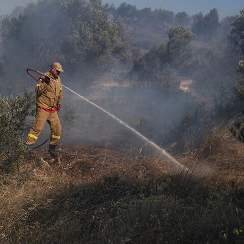 Πολύ υψηλός κίνδυνος πυρκαγιάς το Σάββατο στην Κρήτη