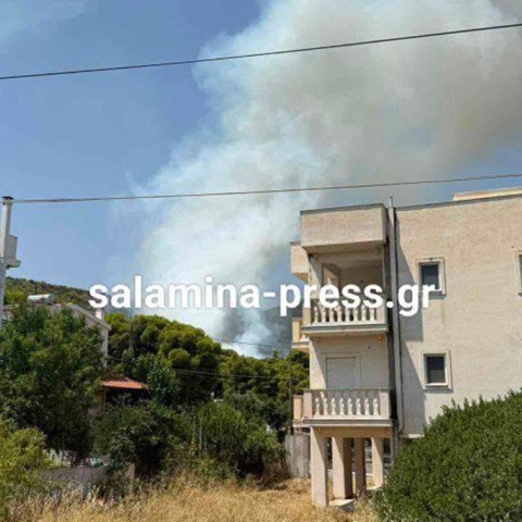 Φωτιά τώρα στα Σελήνια Σαλαμίνας