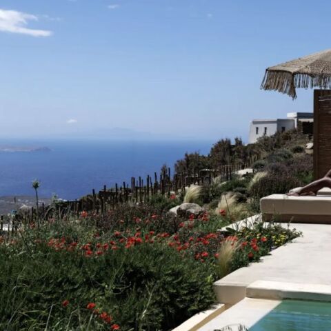 Ivy’s Natural Resort