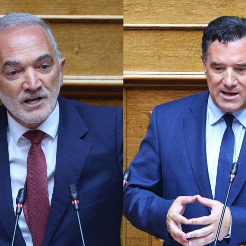 Μάριος Σαλμάς και Άδωνις Γεωργιάδης