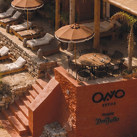 Ono Concept
