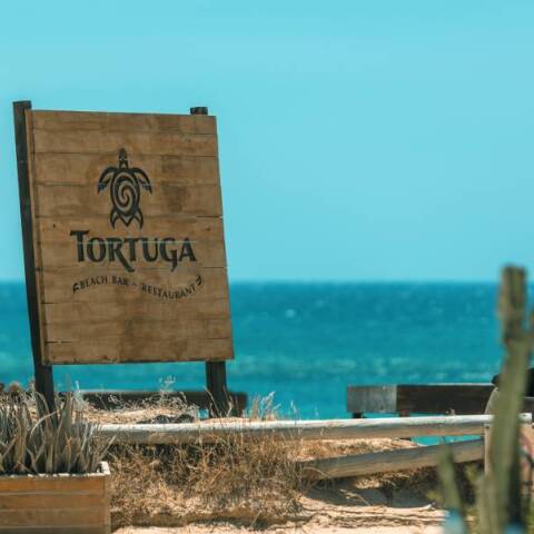 Tortuga Νάξος