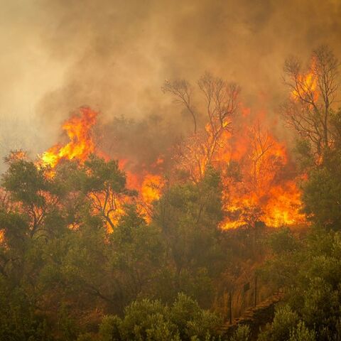 Φωτιά τώρα στη Μυτιλήνη - Εκκενώνεται το Πλωμάρι