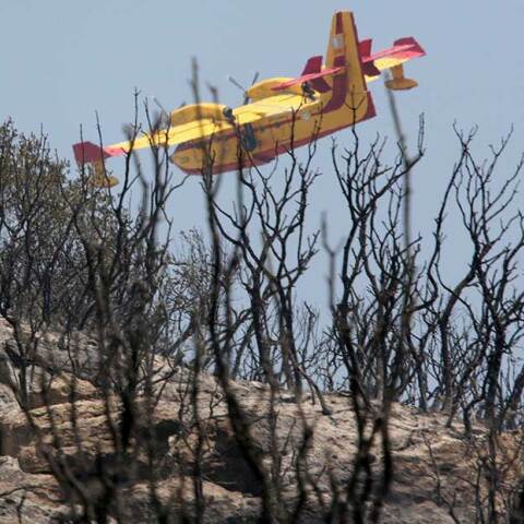 Canadair πάνω από καμένες εκτάσεις μετά την πυρκαγιά