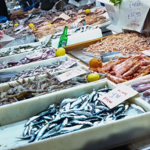 Fish Guide: Ένας οδηγός επιβίωσης για τα ψάρια που τρώμε και τις θάλασσες που αδειάζουν