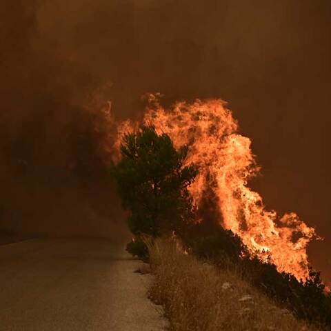 Φωτιά στη Βοιωτία