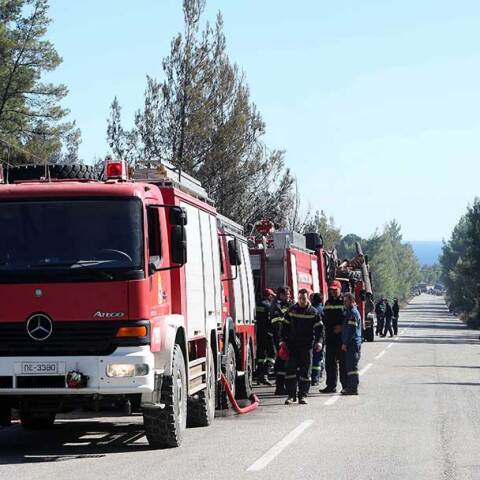 Πυροσβέστες επιχειρούν σε φωτιά στη Χαλκιδική