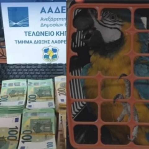 Λεφτά, όπλα, ναρκωτικά και... παπαγάλοι κατασχέθηκαν από την ΑΑΔΕ σε τελωνεία και αεροδρόμια