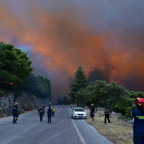 Πυρκαγιά στη Βοιωτία