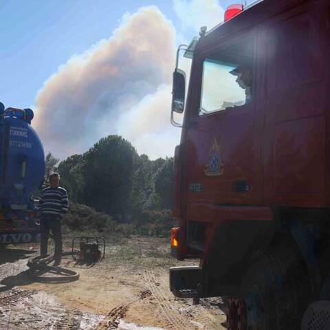 Φωτιά στη Χαλκιδική